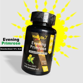 Evening Primrose